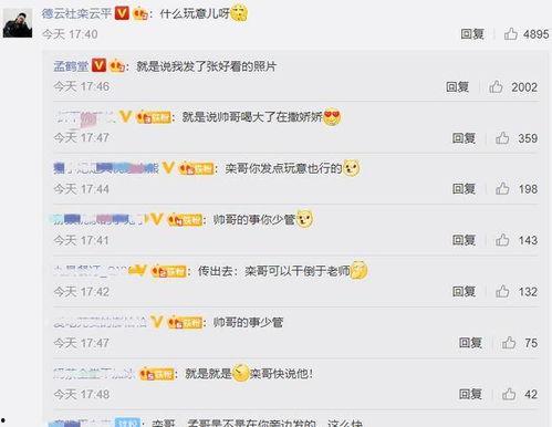 娱乐吃瓜酱评论区,揭秘明星幕后故事，笑料百出